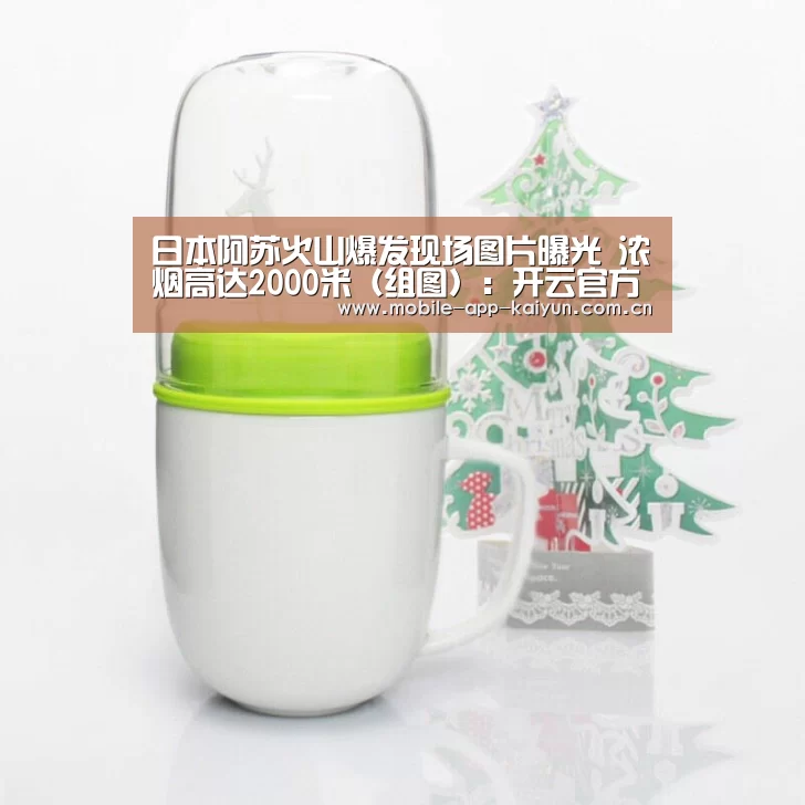 开云官方网站